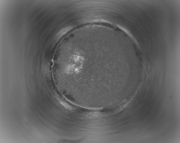 X0000081600881200701221134