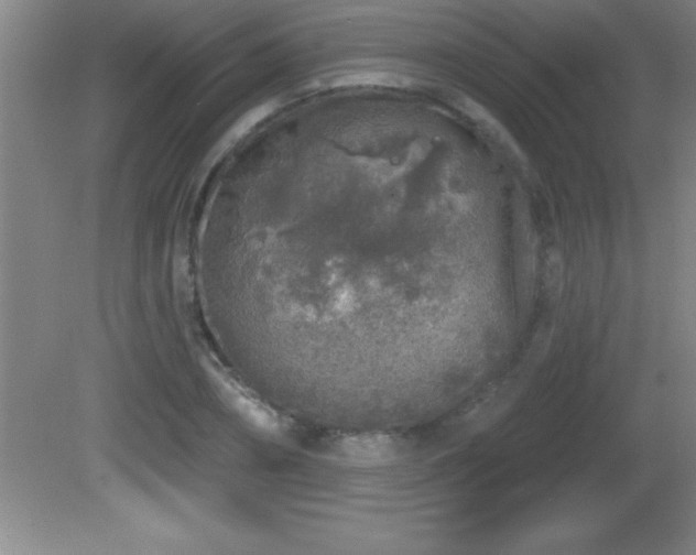 X0000081600882200701221134