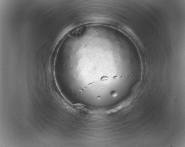 X0000081600883200701221134