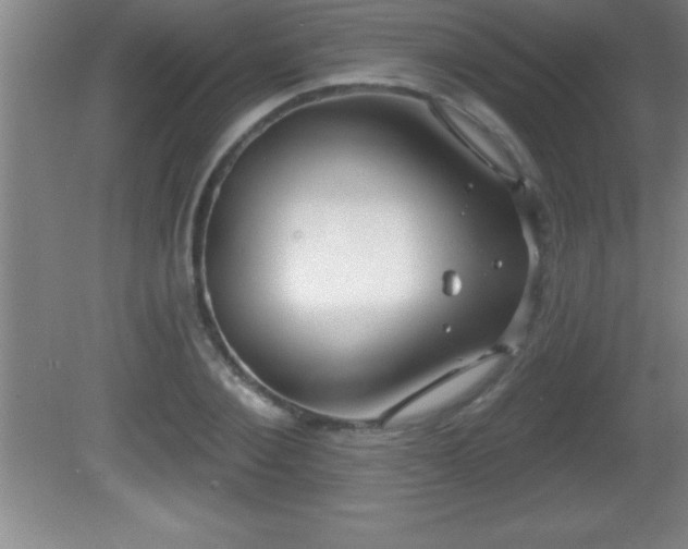 X0000081600884200701221133