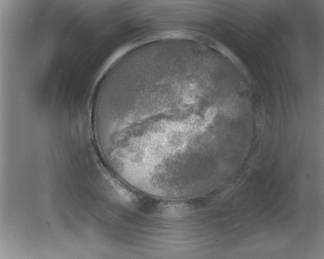 X0000081600886200701221133