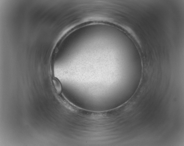 X0000081600887200701221133