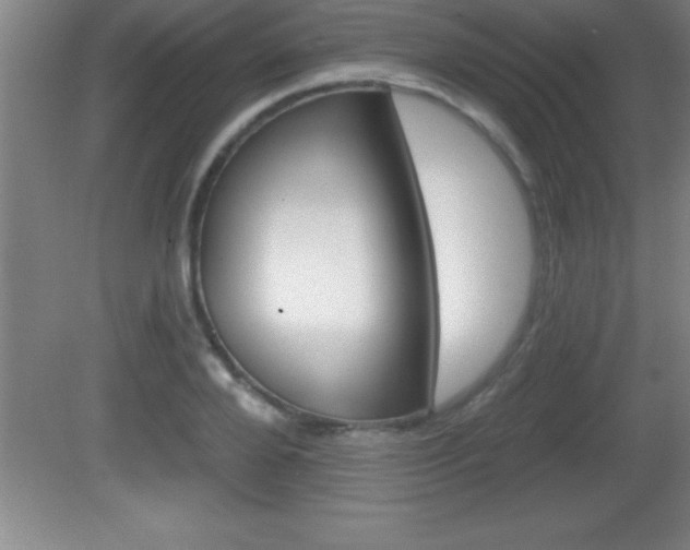 X0000081600888200701221133