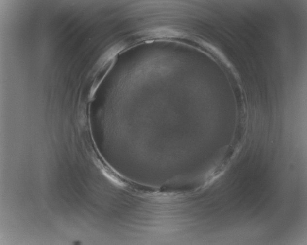 X0000081600889200701221133