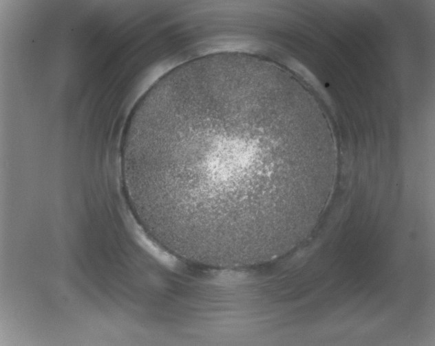 X0000081600890200701221133