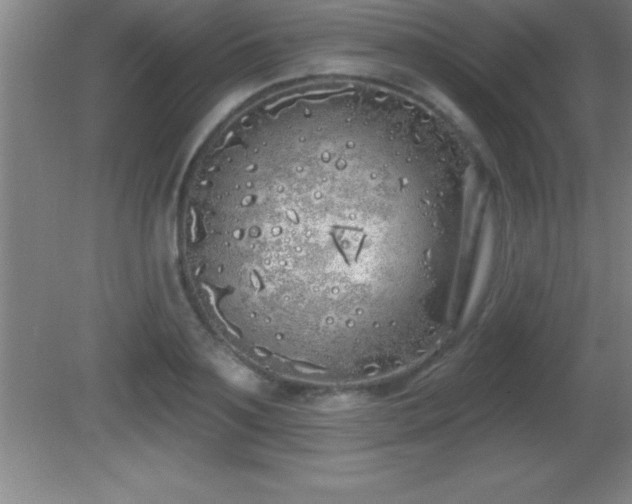 X0000081600891200701221133