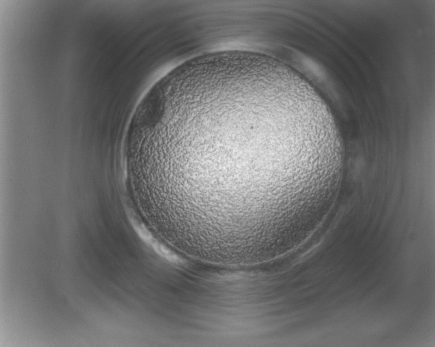 X0000081600892200701221133