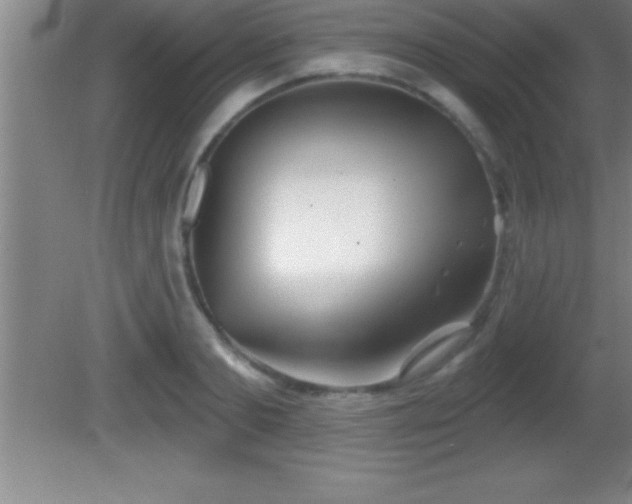 X0000081600893200701221133