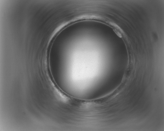 X0000081600894200701221133