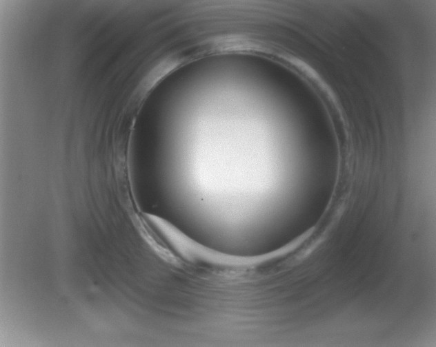 X0000081600897200701221133