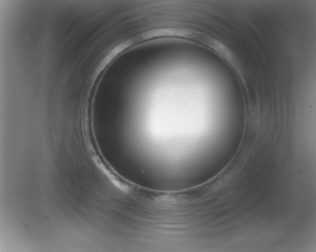 X0000081600898200701221133