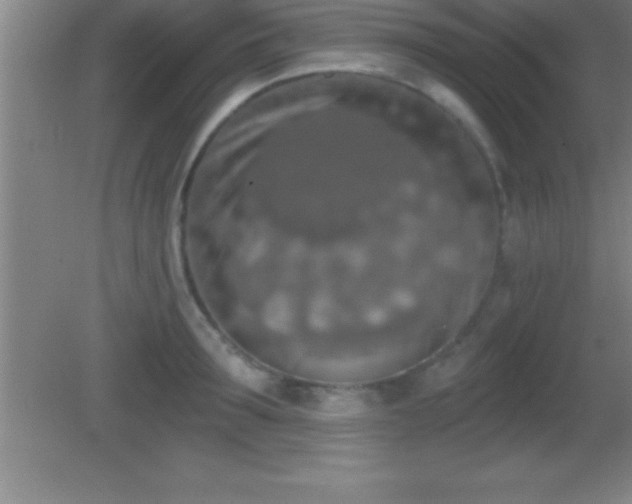 X0000081600899200701221133