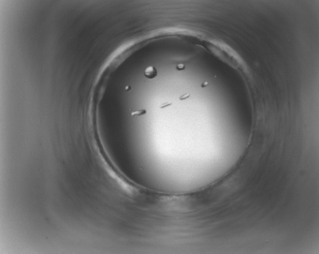 X0000081600902200701221133