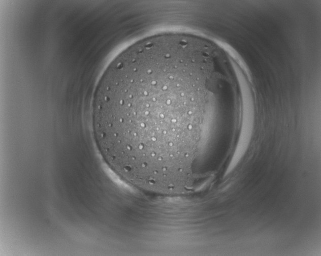 X0000081600903200701221133