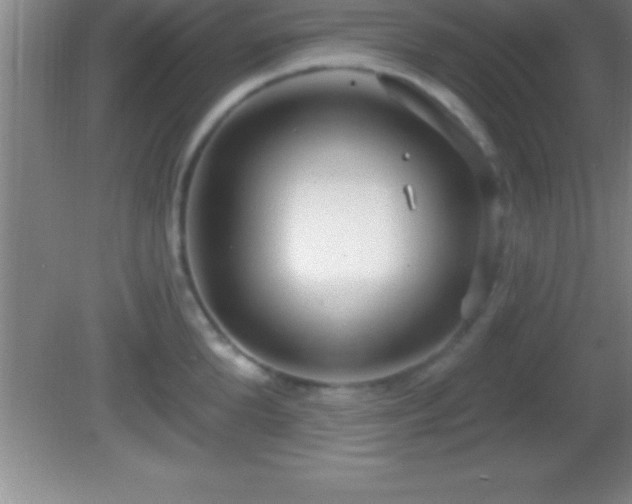 X0000081600904200701221133