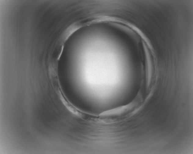 X0000081600905200701221133