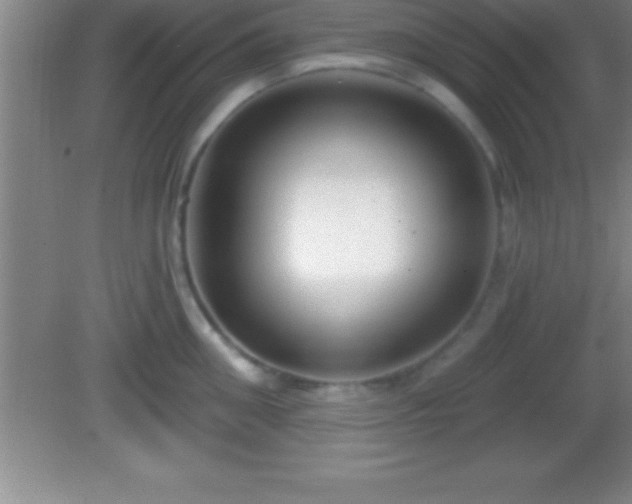 X0000081600906200701221133