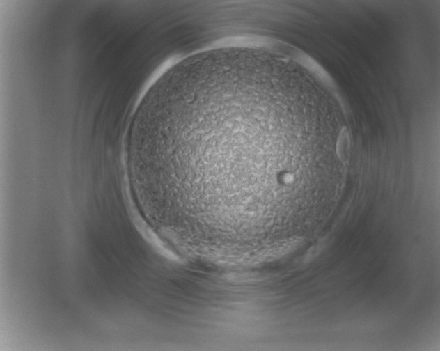 X0000081600907200701221133