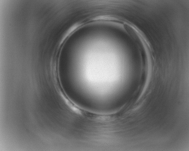 X0000081600909200701221133