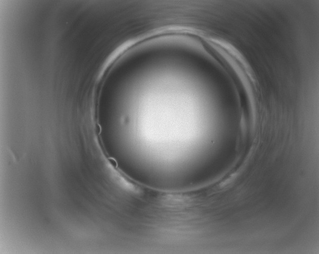 X0000081600910200701221133