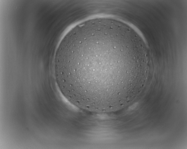 X0000081600911200701221133