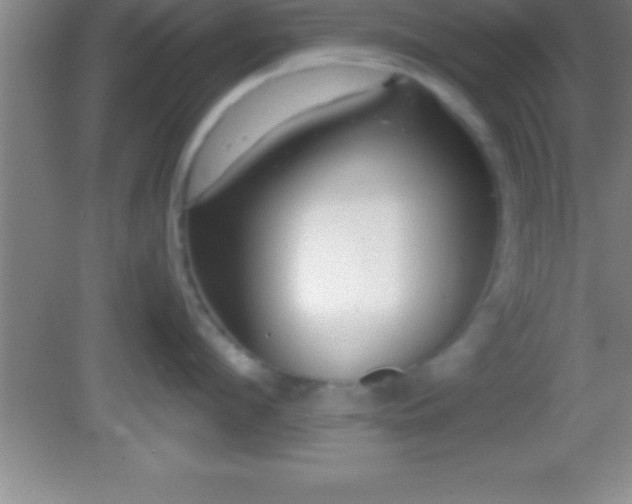 X0000081600912200701221133