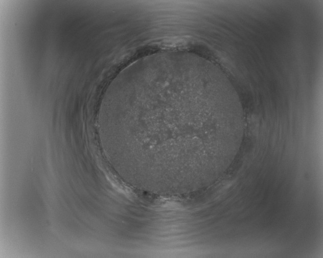 X0000081600913200701221132