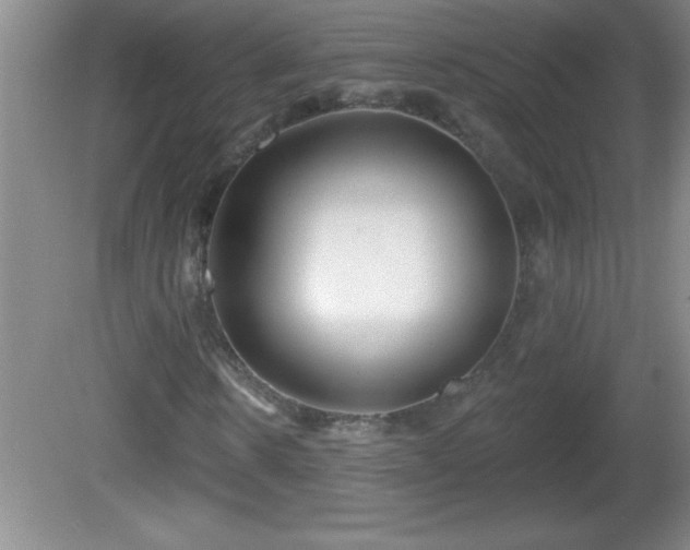 X0000081600914200701221132