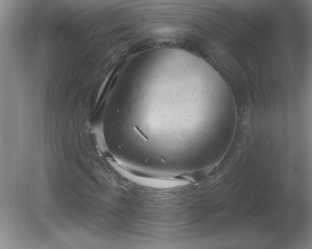 X0000081600916200701221132