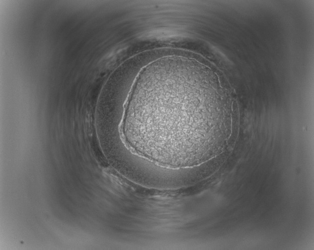 X0000081600917200701221132