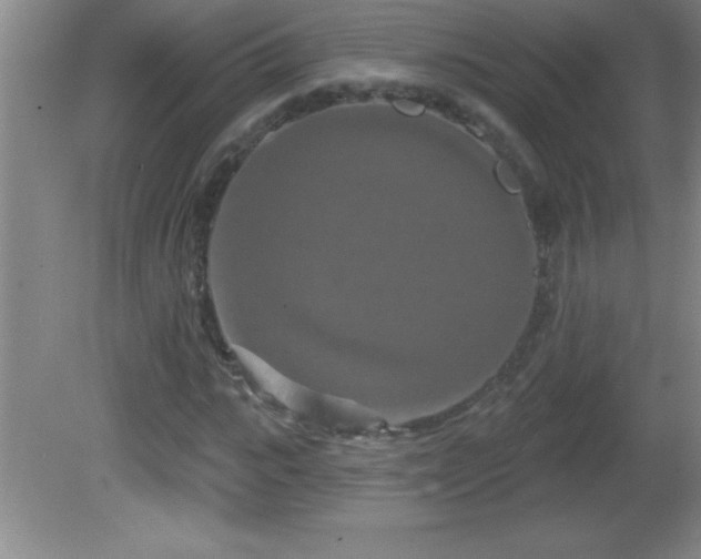 X0000081600919200701221132