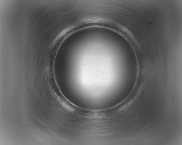 X0000081600922200701221132