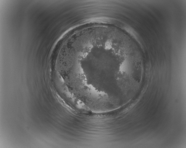 X0000081600923200701221132