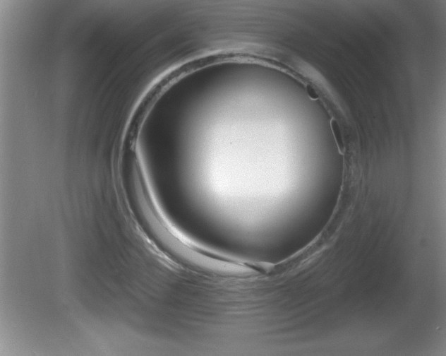 X0000081600924200701221132