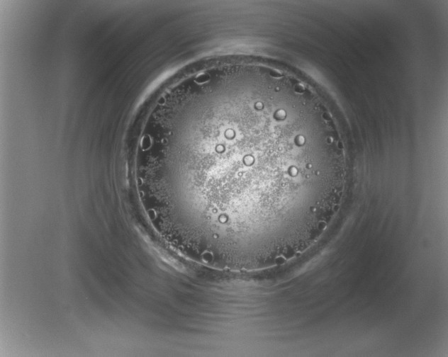 X0000081600925200701221132