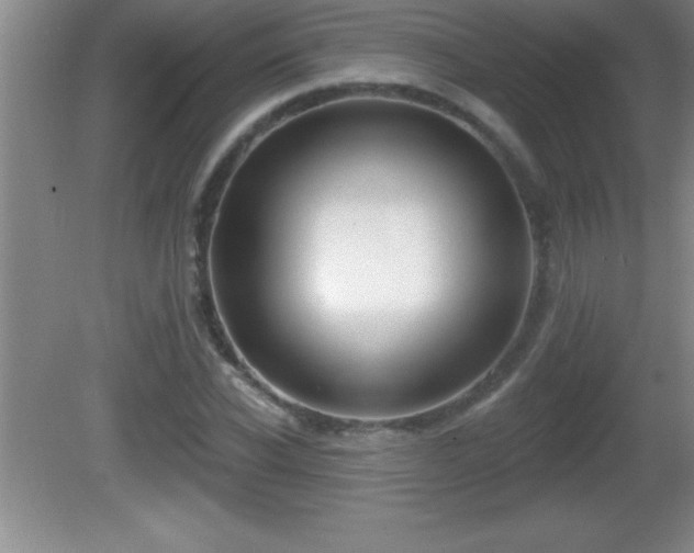 X0000081600926200701221132