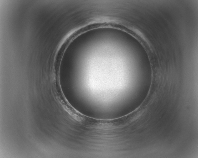 X0000081600927200701221132