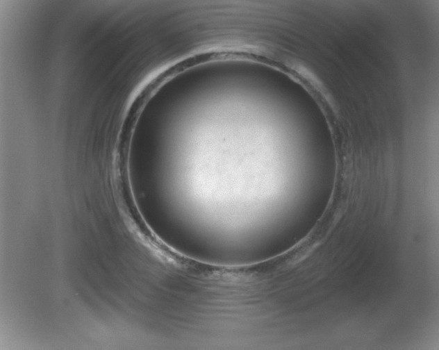 X0000081600928200701221132