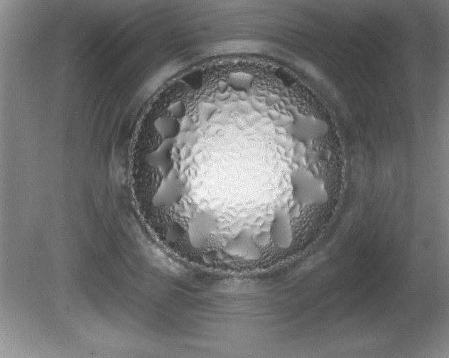 X0000081600929200701221132