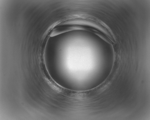 X0000081600930200701221133