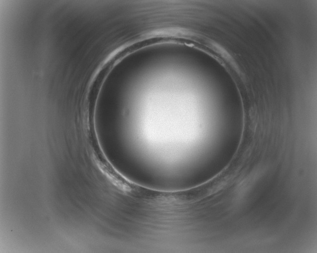 X0000081600931200701221133