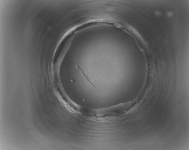 X0000081600932200701221133