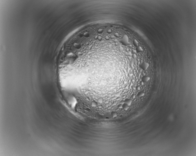 X0000081600933200701221133