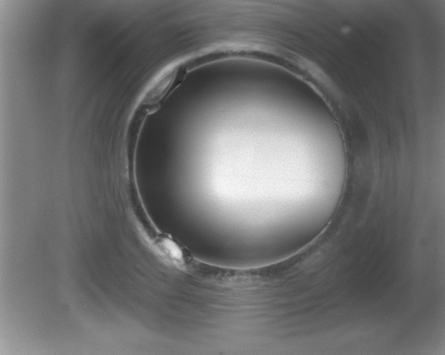 X0000081600934200701221133