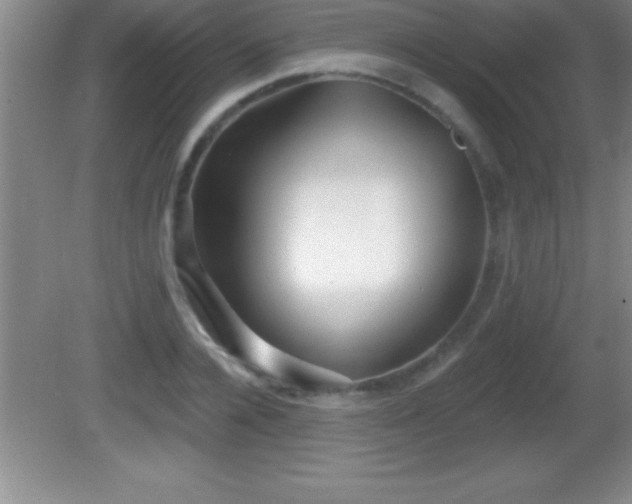 X0000081600936200701221133