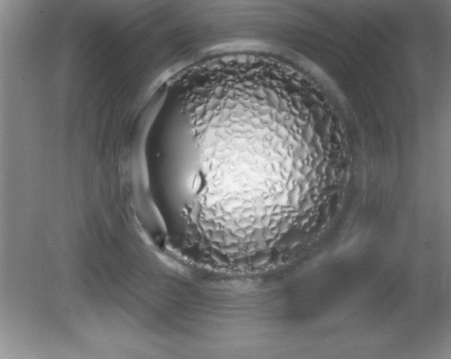 X0000081600937200701221133