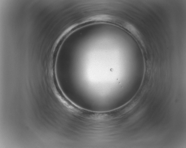 X0000081600939200701221133