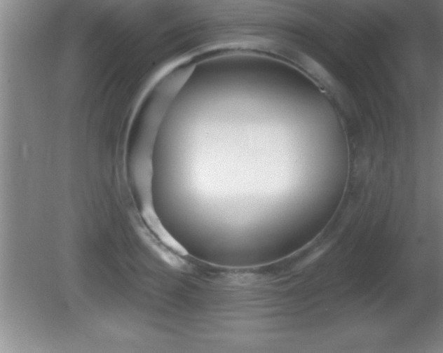 X0000081600940200701221133