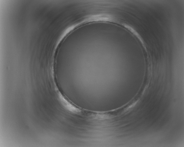 X0000081600941200701221133