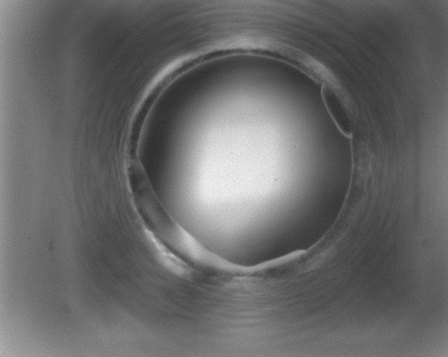 X0000081600942200701221133